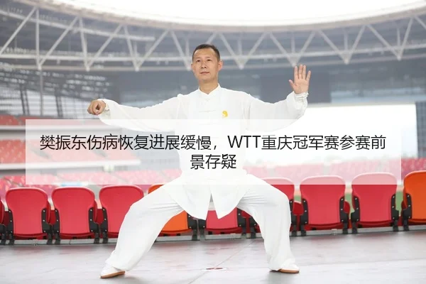 fan-zhen-dong-shang-bing-hui-fu-jin-zhan-huan-man-chong-qing-guan-jun-sai-can-sai-qian-jing-cun-yi-2-970.jpg