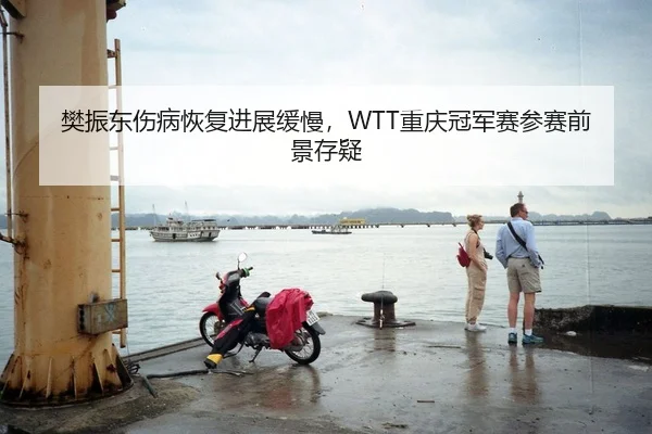 樊振东伤病恢复进展缓慢，WTT重庆冠军赛参赛前景存疑
