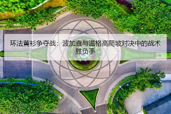 huan-fa-huang-shan-zheng-duo-zhan-bo-jia-cha-yu-wen-ge-gao-pa-po-dui-jue-zhong-de-zhan-shu-sheng-fu-shou-2-954.jpg