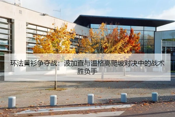 环法黄衫争夺战：波加查与温格高爬坡对决中的战术胜负手